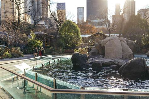 12 Things To Do In Central Park