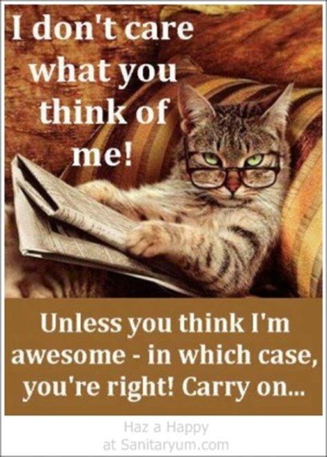 The best and hilarious funny animal memes collection on the web. Clean Funny Animal Quotes. QuotesGram