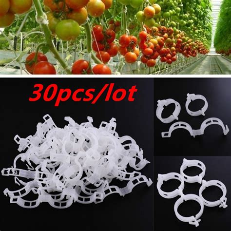 Купить Садовые товары 30pcsbag Durable Clear Plant Support Clips