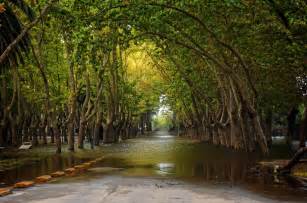 As a result, many uruguayans do not equate their nationality with ethnicity. river, Uruguay, Trees, Nature Wallpapers HD / Desktop and ...