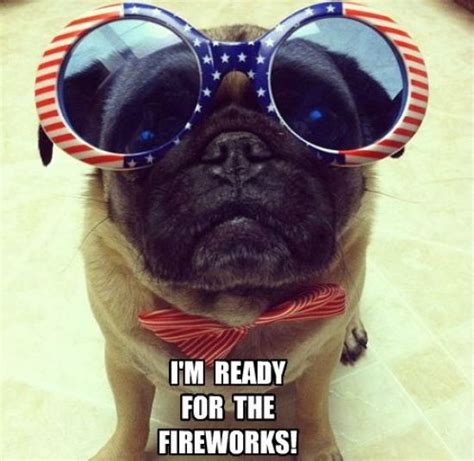 Funny 4th of july quotes. Happy 4th Of July Meme 2020 Funny Pictures & Jokes For Facebook, Pinterest & Instagram