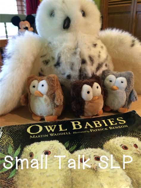 Chit Chat And Small Talk Owls Owls Owls Baby Owls Speech Therapy