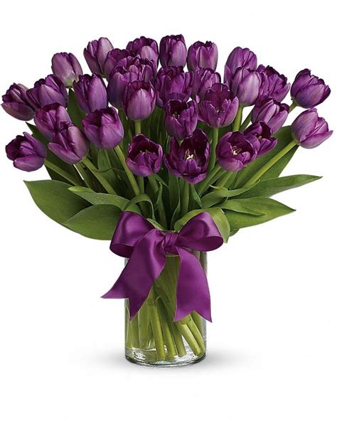 Passionate Purple Tulips Calgary Flowers Delivery Tulips