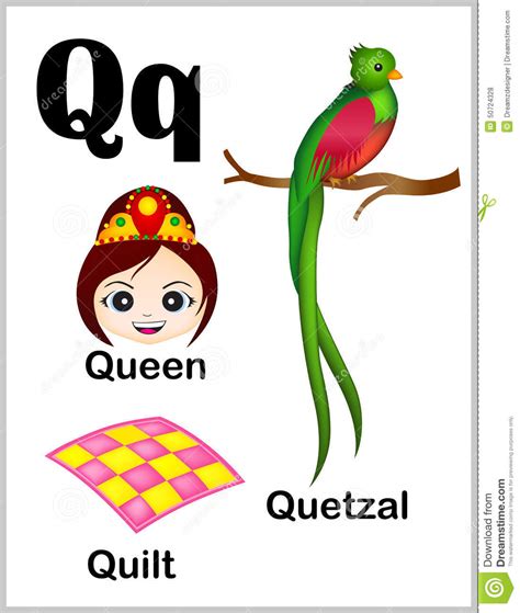 List of 429 words that start with q. Alphabet letter Q pictures stock vector. Illustration of ...