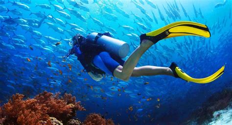 Scuba Diving In Neil Island Cost Reviews And Experience