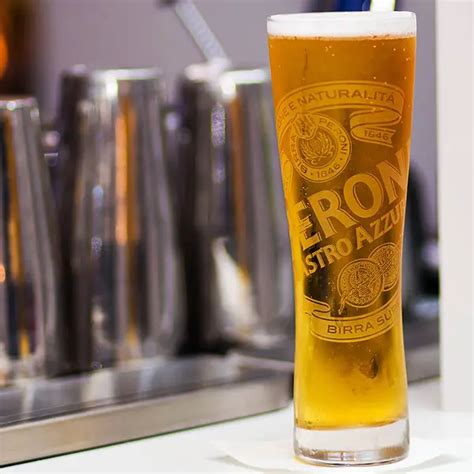 10 Best Tall Beer Glasses For Every Occasion