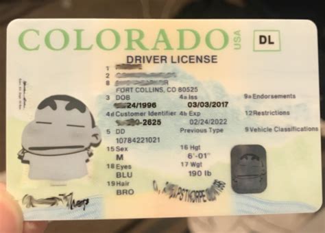 Colorado Drivers License Previous Type N Connectors Bestiup
