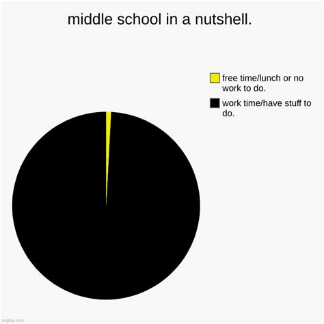 Middle School In A Nutshell Imgflip