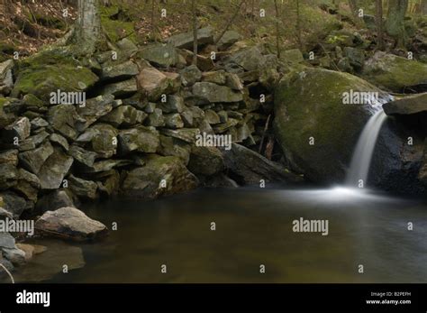 A Small Waterfall In A New England Stream Plunges Into A Pool At The