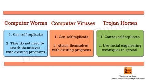 Worm Vs Virus Vs Trojan The Security Buddy