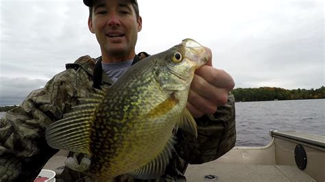 Fall Crappie Fishing Easy Way To Catch Big Fall Crappie Youtube