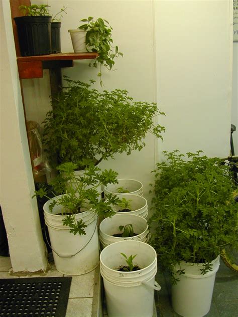 Maybe you would like to learn more about one of these? Go Hydroponics!!!: Easy Guidelines To Build Sealed Grow ...