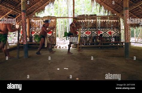 native brazilians doing their ritual at an indigenous tribe in the amazon stock video footage