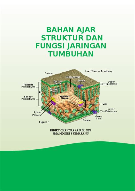Check spelling or type a new query. (DOC) bahan ajar jaringan tumbuhan.doc | Didiet Chandra ...