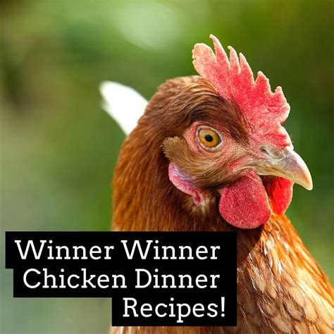 Winner Winner Chicken Dinner Recipes | Chicken dinner recipes, Winner winner chicken dinner 