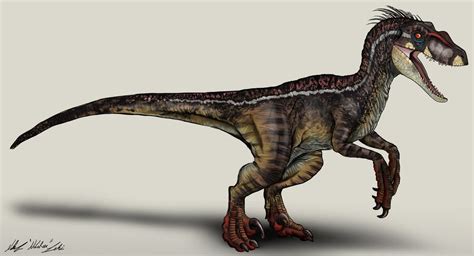 Jurassic Park Velociraptor Male By Nikorex Velociraptor Jurassic
