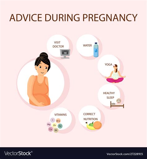 pregnancy healthy advices tips poster royalty free vector