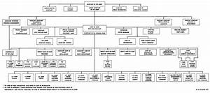 Army Division Organization Chart