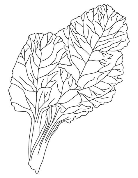 Children will be able to learn about benefits of vegetables for health , as well as learn to … Vegetable Coloring Pages To Print - Coloring Home