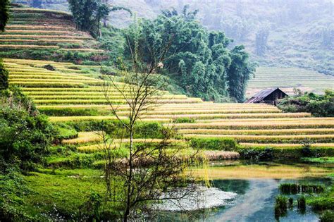 Vietnam Travel Cost - Average Price of a Vacation to Vietnam: Food ...