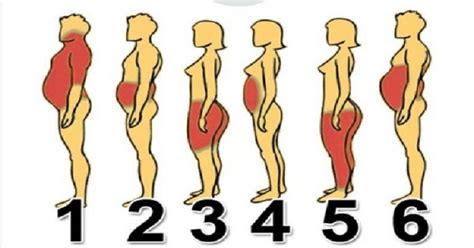 Different Types Of Body Fats And The Fattening Causes Know What You