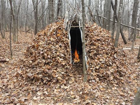 Building a permanent bushcraft shelter is not an easy task, but it's well worth the time and energy. BUSHCRAFT FOREST GROUP SHELTER - YouTube