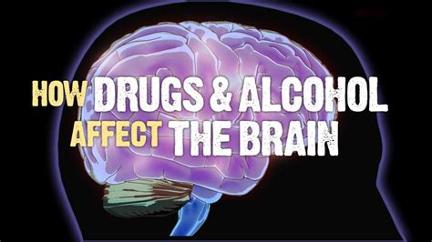 How Drugs And Alcohol Affect The Brain Ventura Recovery