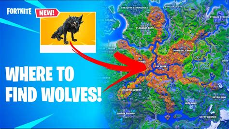 Wolf Locations And Hotspots Fortnite Youtube