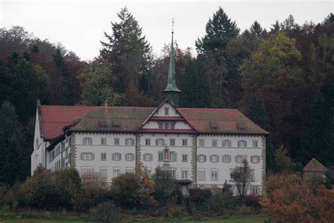 Похудеть с монастырским чаем