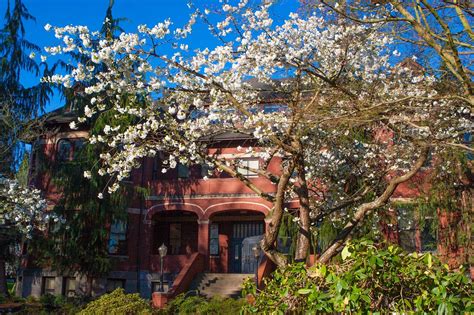 The spu library provides collections, instruction, technology, spaces, and personnel to advance teaching, learning, and scholarship at seattle pacific university. Seattle Pacific University - Colleges of Distinction ...