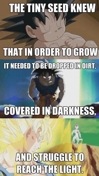 Dragon ball belongs to the following category: Dbz Vegeta Motivational Quotes. QuotesGram