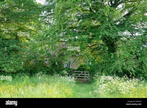 Mown Path Wildflowers Hi Res Stock Photography And Images Alamy