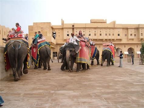 Turnaround Retro Elephant Ride To The Amber Amer Fort