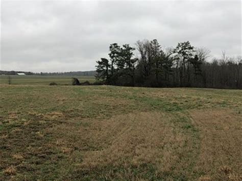 Cullman county, alabama land information. Land For Sale With 18 +/- Acres : Land for Sale in Holly ...