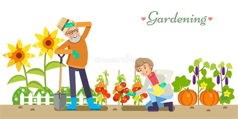 Granny Garden Stock Illustrations 404 Granny Garden Stock