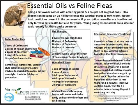 Can you use essential oils on dogs, cats, and other pets the same way. doterra essential oils for cats - Bing images | Doterra ...