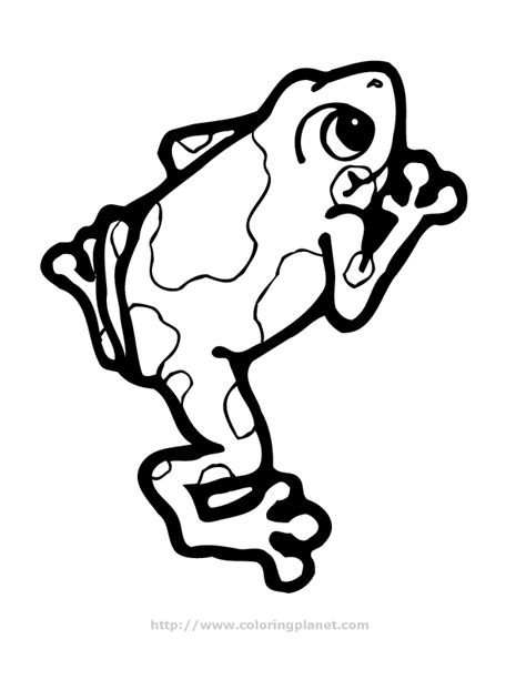 Free Tree Frog Coloring Pages Download Free Tree Frog Coloring Pages