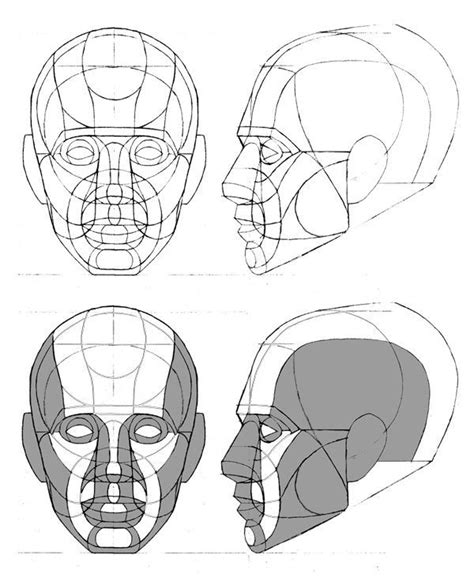 Human Head Drawing Reference