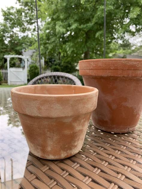 How To Age Terra Cotta Pots The Honeycomb Home