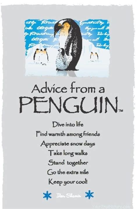 Love penguins famous quotes & sayings: Penguin Medicine | Penguin quotes, Penguins, Penguin love