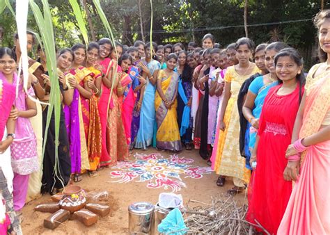 Pongal Celebration Gallery Our Lady Of Health School And College Of