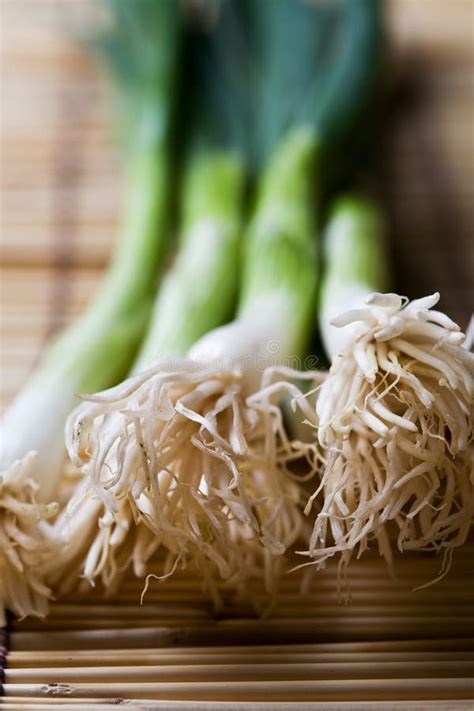 Spring Onions Stock Photo Image Of Garnish Food Vegetable 4325258