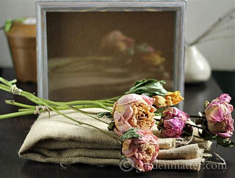 Our premium bamboo box includes metal tray, grinder, uv jar, 2 bags, 2 sets of keys and usb rechargeable lighter. Shadow Box Peonies - A Great Way to Preserve Your Garden ...