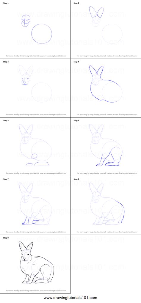 How to draw easy arctic animals. How to Draw a Arctic Hare printable step by step drawing sheet : DrawingTutorials101.com