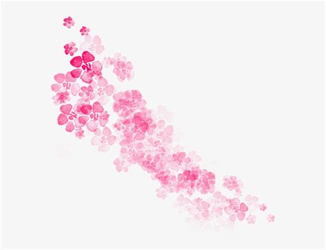 In this example, we create a gif animation with a transparent background. Sakura Leaves Falling Png - Flor Sakura Png PNG Image ...