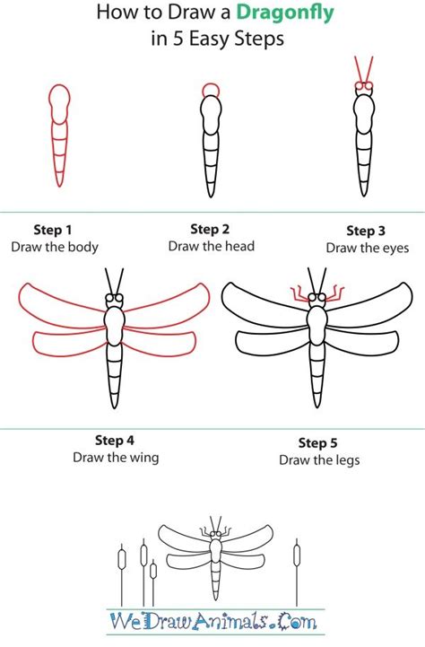 How To Draw A Dragonfly Step By Step Dragonfly Drawing Dragonfly