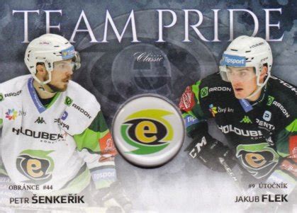 He is a czech ice hockey left winger currently playing with the hc energie karlovy vary of the tipsport extraliga. OFS 2018-19 Série 2 | Hokejová karta Jakub Flek / Petr ...