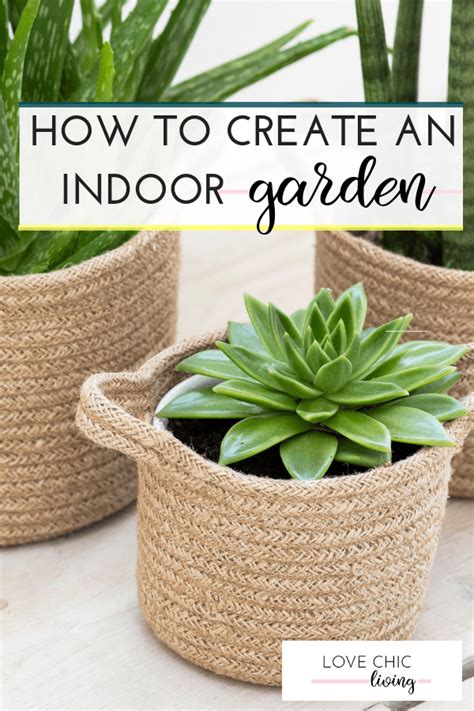Keep the soil acidic, with a ph of 6.0 to 7.0. Everything you need to know about indoor gardening and how ...