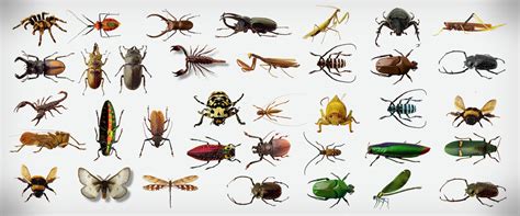 Never worry about the monsters when you're not looking! Best Pest Control Company In Singapore - Blog