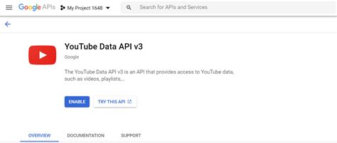 How to get your YouTube API key